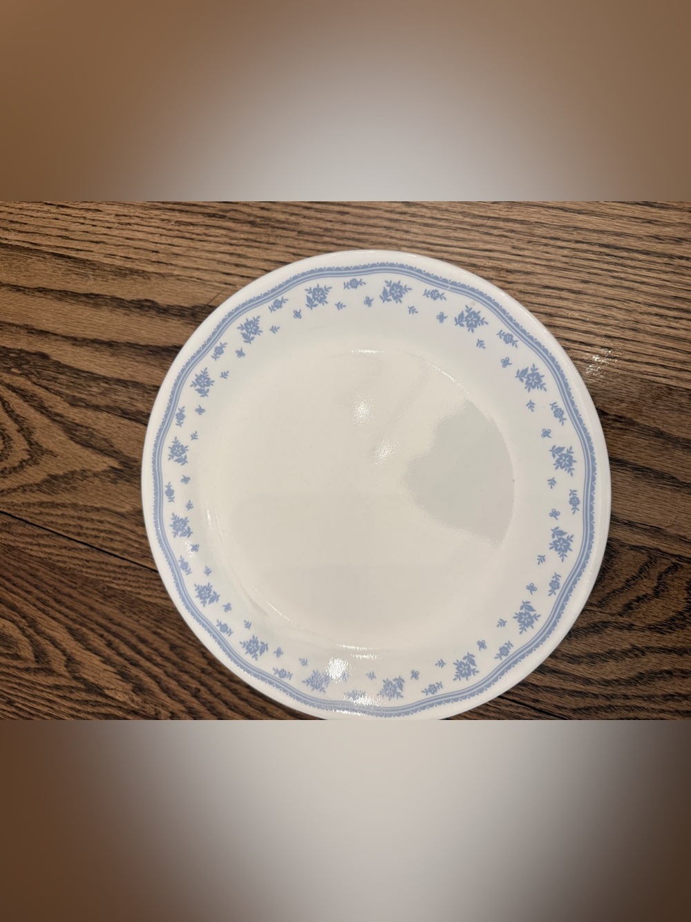 Set of 6 Corelle Morning Blue Floral 10.25" Dinner Plates - USA EUC